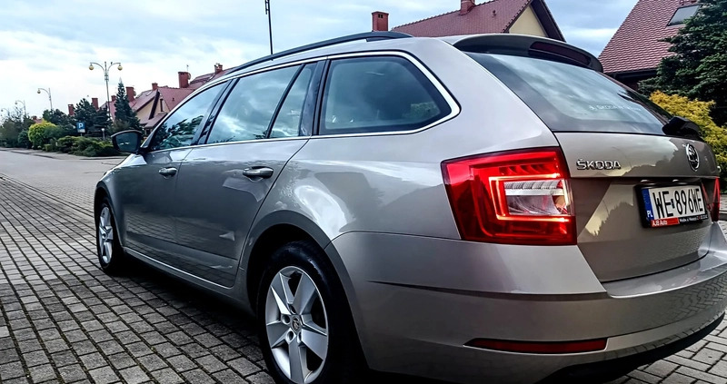 Skoda Octavia cena 46900 przebieg: 280000, rok produkcji 2019 z Legnica małe 211